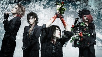 MeteoroiD official website